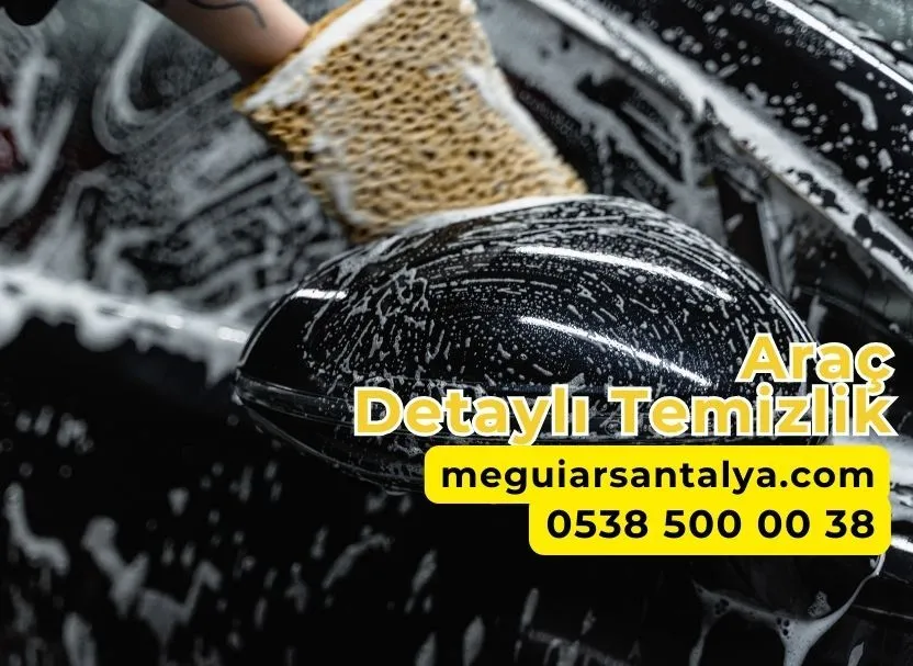 Araç Detaylı Temizlik